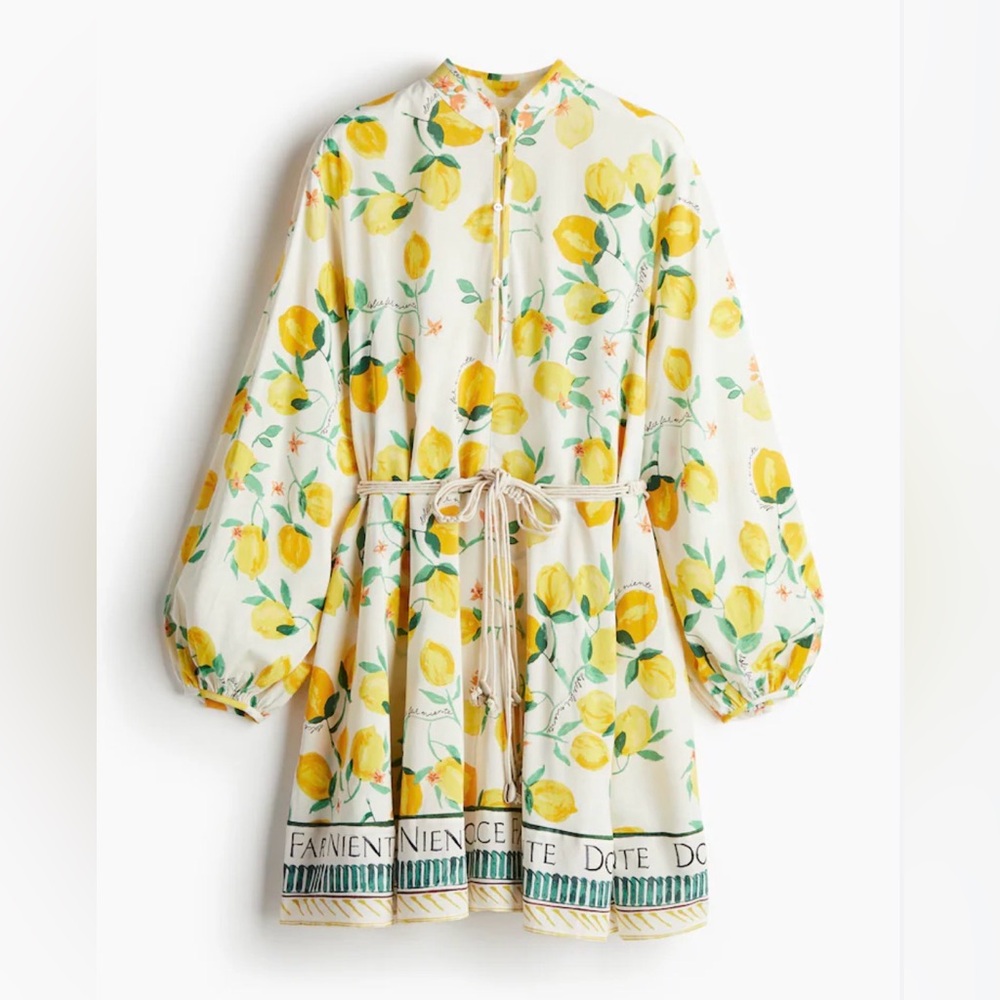 H&M Lemon Print Dress w/ Macrame Belt